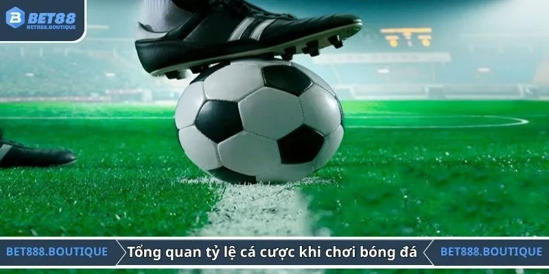 Tổng quan về tỷ lệ cá cược khi chơi bóng đá 